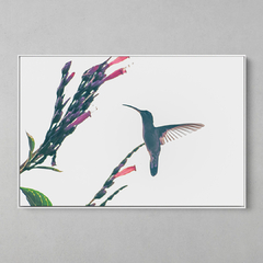 Quadro Decorativo O Beija Flor e suas Flores - comprar online