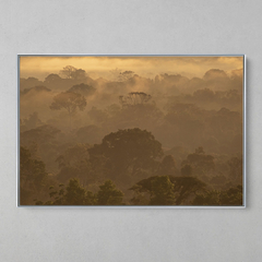 Imagem do Quadro Decorativo Um Entardecer na Amazônia