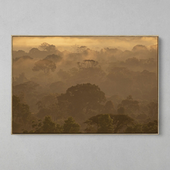 Quadro Decorativo Um Entardecer na Amazônia na internet