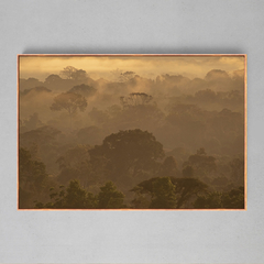 Quadro Decorativo Um Entardecer na Amazônia - Ellquadros 