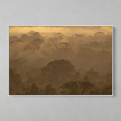 Quadro Decorativo Um Entardecer na Amazônia - comprar online