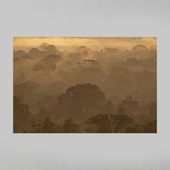 Quadro Decorativo Um Entardecer na Amazônia