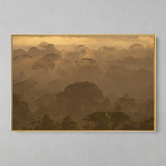 Quadro Decorativo Um Entardecer na Amazônia - loja online