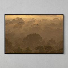 Quadro Decorativo Um Entardecer na Amazônia