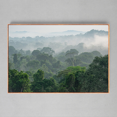 Quadro Decorativo Parque Estadual do Cristalino, Floresta Amazônica - Ellquadros 