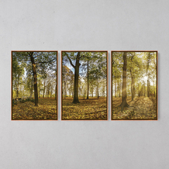 Quadro Decorativo Tríptico Árvores Outono - Ellquadros 