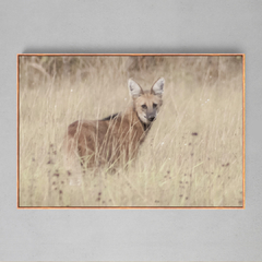 Quadro Decorativo Lobo Guará - Ellquadros 