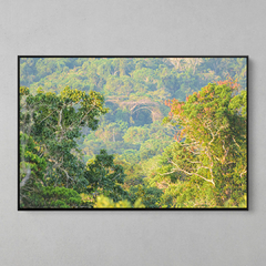 Quadro Decorativo Uma Composição da Floresta Amazônica