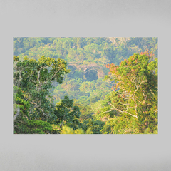 Quadro Decorativo Uma Composição da Floresta Amazônica