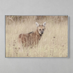 Imagem do Quadro Decorativo Lobo Guará