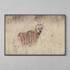 Quadro Decorativo Lobo Guará