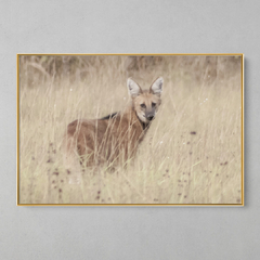 Quadro Decorativo Lobo Guará - loja online