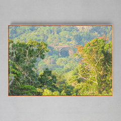 Quadro Decorativo Uma Composição da Floresta Amazônica - Ellquadros 