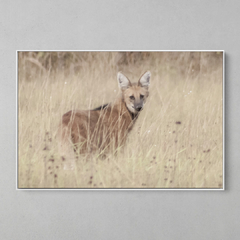 Quadro Decorativo Lobo Guará - comprar online