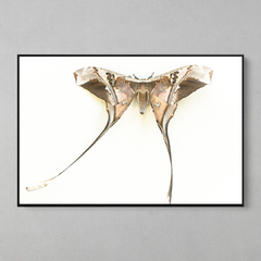 Quadro Decorativo Majestosa Mariposa