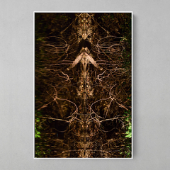 Quadro Decorativo Reflexos do Rio Cristalino, Amazônia - comprar online