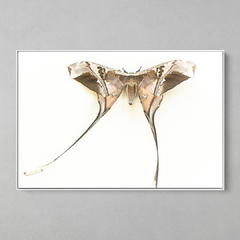 Quadro Decorativo Majestosa Mariposa - comprar online