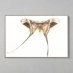 Quadro Decorativo Majestosa Mariposa na internet