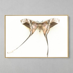 Quadro Decorativo Majestosa Mariposa - loja online