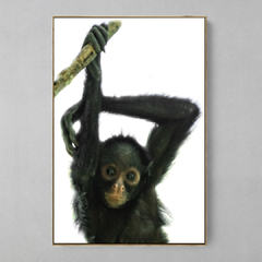 Quadro Decorativo Bebe de Macaco Aranha de cara branca na internet