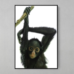 Quadro Decorativo Bebe de Macaco Aranha de cara branca