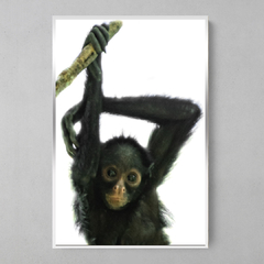 Imagem do Quadro Decorativo Bebe de Macaco Aranha de cara branca