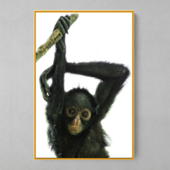 Quadro Decorativo Bebe de Macaco Aranha de cara branca - loja online