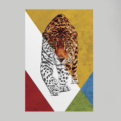 Quadro Decorativo Tigre Color