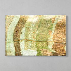 Quadro Decorativo Texturas Casca de Árvore, Amazônia - comprar online