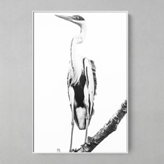 Quadro Decorativo Garça Moura em branco e preto - comprar online