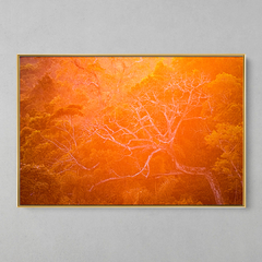 Quadro Decorativo Backligth da Golden Hour na Amazônia - loja online