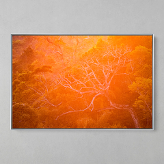 Imagem do Quadro Decorativo Backligth da Golden Hour na Amazônia