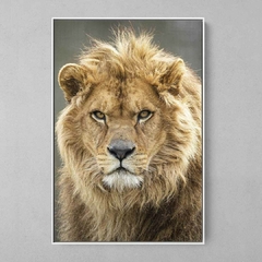 Quadro Decorativo Lord Lion - comprar online