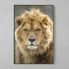 Quadro Decorativo Lord Lion na internet