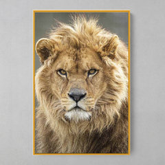 Quadro Decorativo Lord Lion - loja online