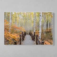 Quadro Ponte da Floresta - comprar online