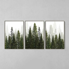 Quadros Decorativo Tríptico Floresta Verde na internet