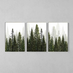 Quadros Decorativo Tríptico Floresta Verde - comprar online