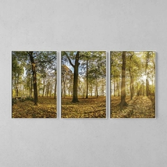 Quadro Decorativo Tríptico Árvores Outono - comprar online