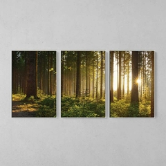 Quadro Decorativo Tríptico Floresta Pôr do Sol