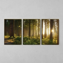 Quadro Decorativo Tríptico Floresta Pôr do Sol - loja online