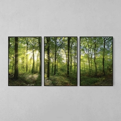 Quadro Decorativo Tríptico Floresta Verde E Sol