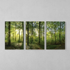 Quadro Decorativo Tríptico Floresta Verde E Sol - comprar online