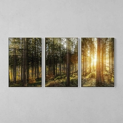 Quadro Decorativo Tríptico Floresta - comprar online