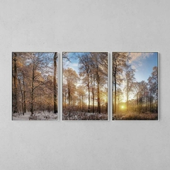 Quadro Decorativo Tríptico Floresta Congelada - comprar online