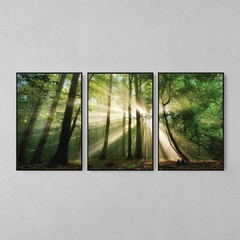 Quadro Decorativo Tríptico Floresta Verde Rios De Sol