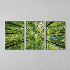 Quadro Decorativo Tríptico Árvore Vista de Baixo - comprar online