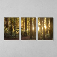 Quadro Decorativo Tríptico Alta Floresta - comprar online