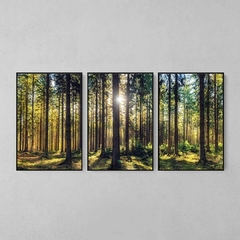 Quadro Decorativo Tríptico Floresta Iluminada