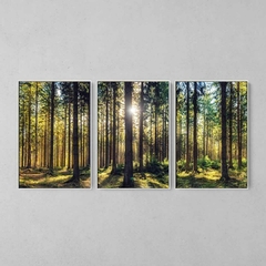 Quadro Decorativo Tríptico Floresta Iluminada - comprar online